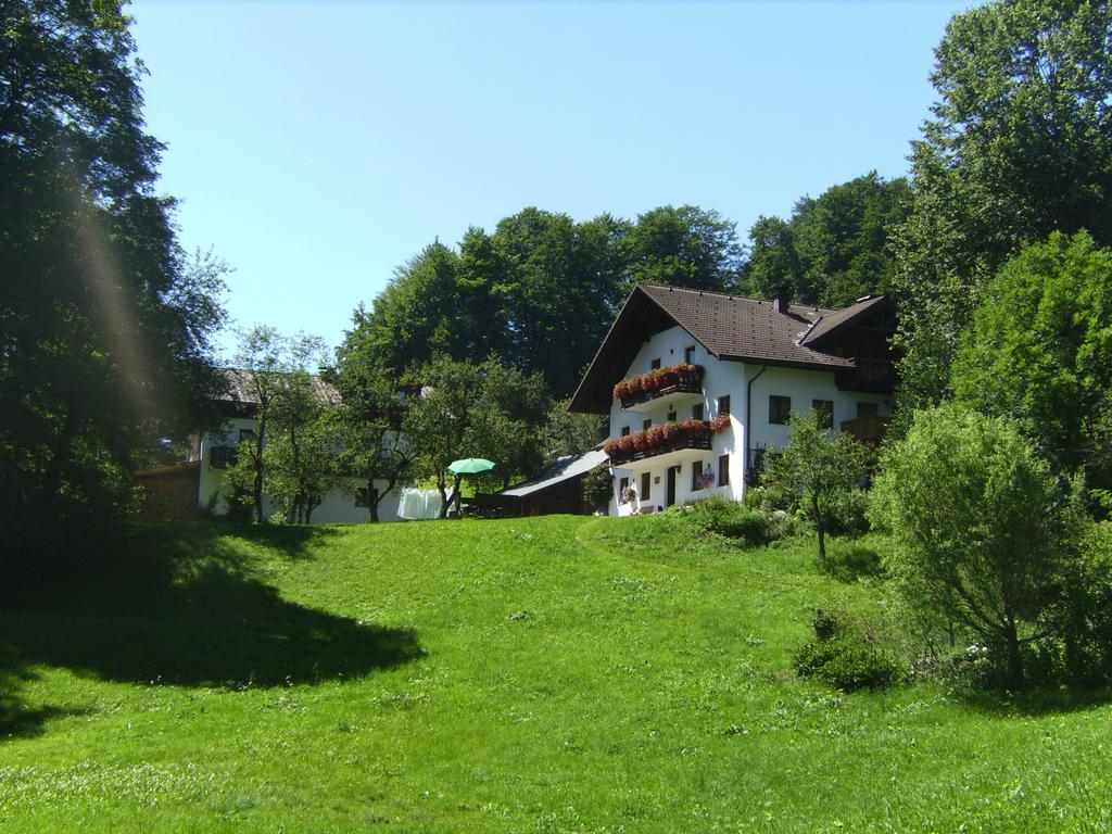 Bauernhof Familie Knoblechner Villa Nussdorf am Attersee Oda fotoğraf