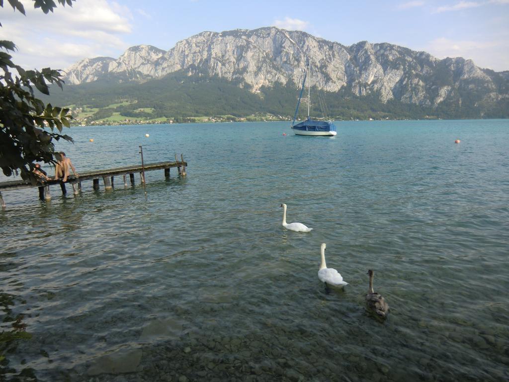 Bauernhof Familie Knoblechner Villa Nussdorf am Attersee Oda fotoğraf
