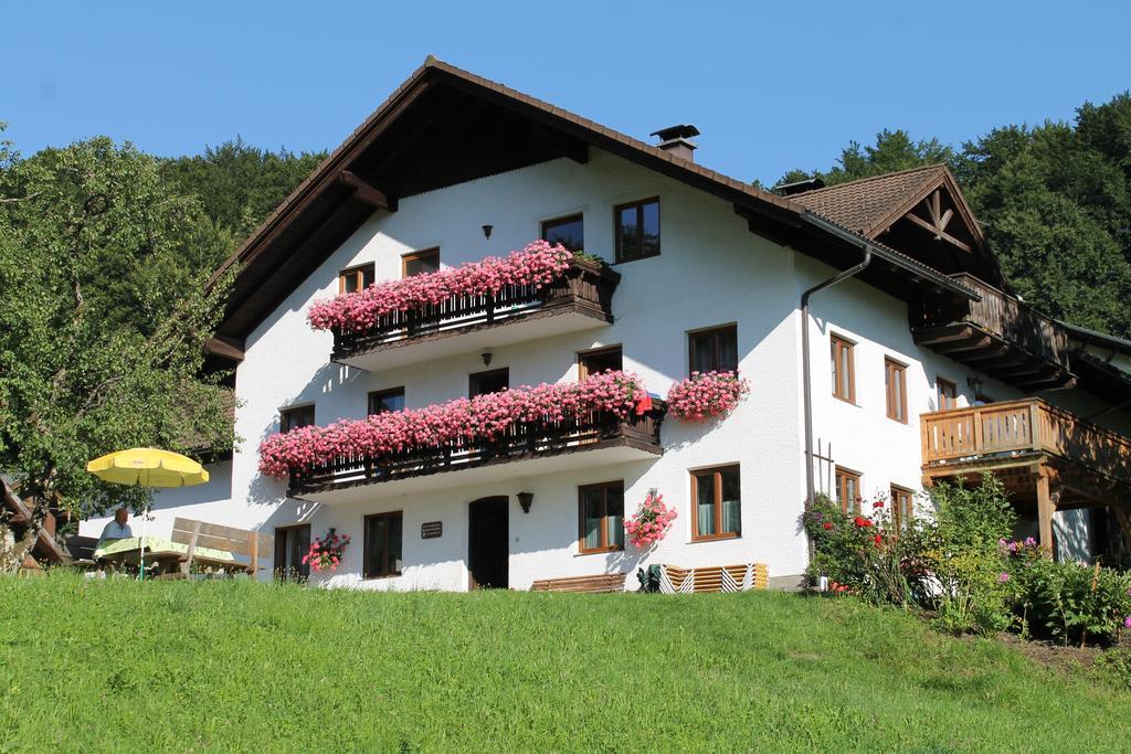Bauernhof Familie Knoblechner Villa Nussdorf am Attersee Oda fotoğraf